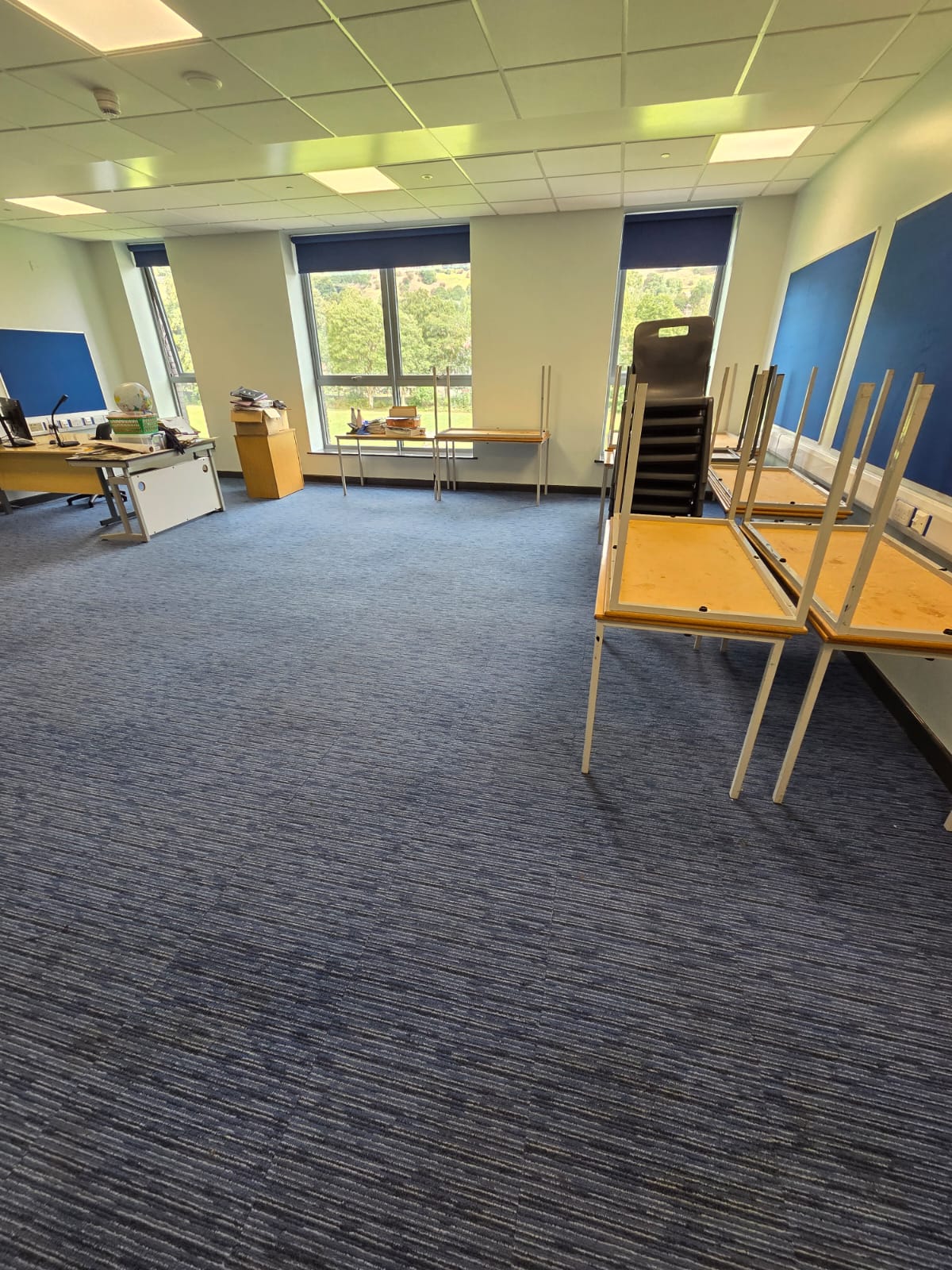 Professional carpet stain removal and treatment
